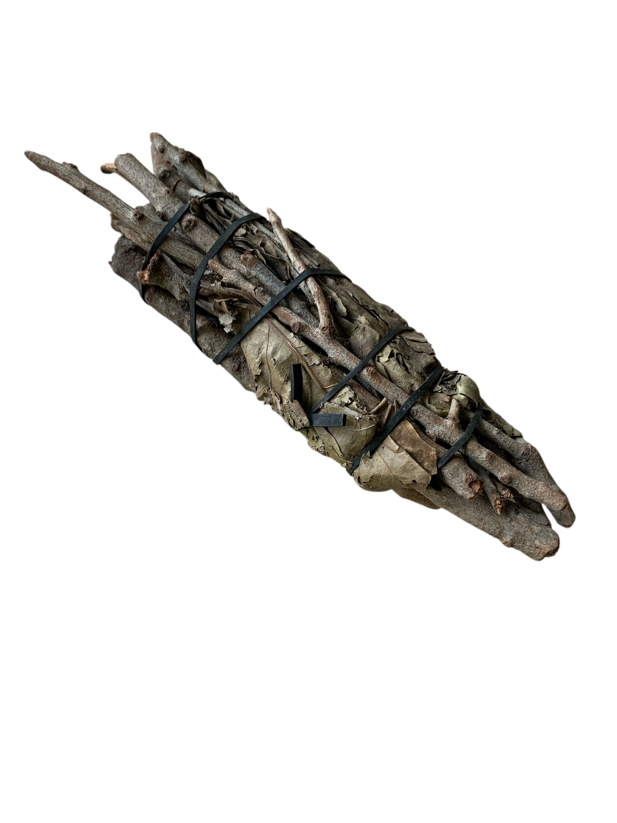 Ladon de ZABA
