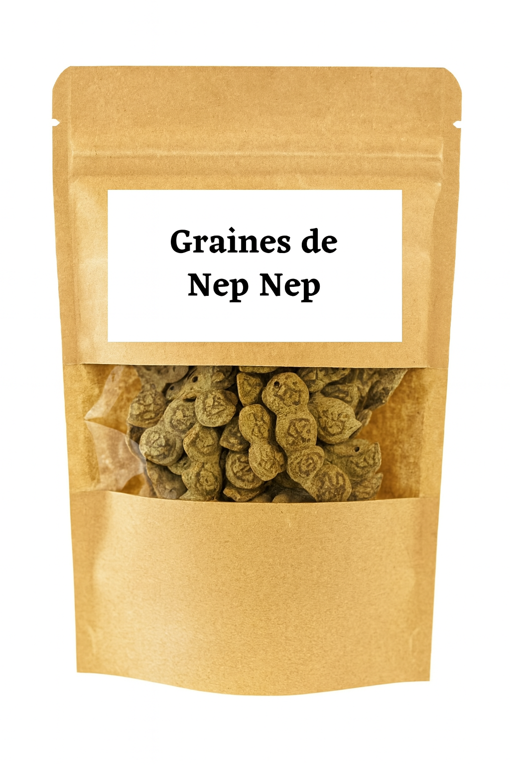 Graines de Nep Nep — Acacia nilotica (50g)