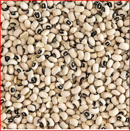 Haricot Africain Niébé (Vigna unguiculata) — 500 gr