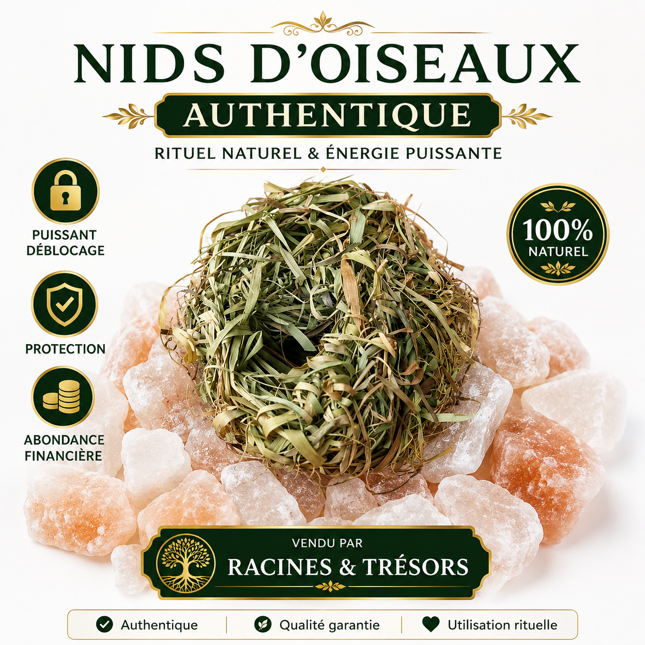 Nid d'Oiseau Authentique – Déblocage, Protection & Abondance