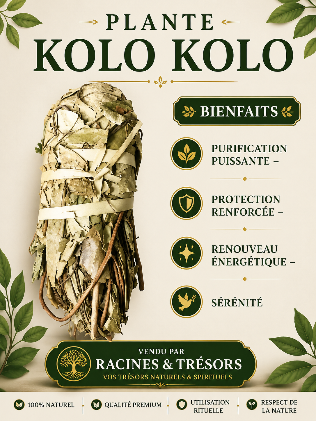 Plante Kolo Kolo – Purification & Harmonie Spirituelle