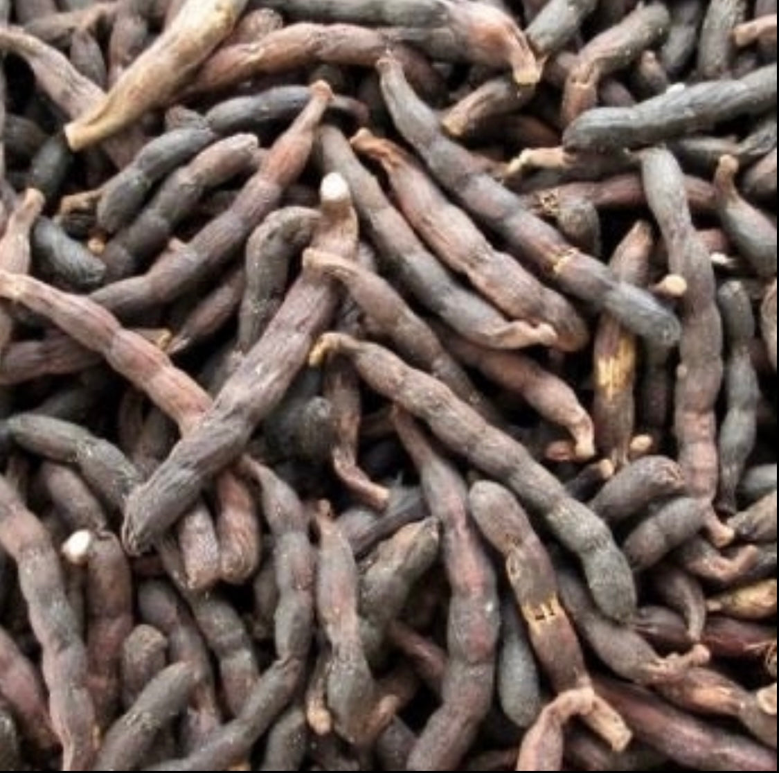 Poivre Africain- Baie de Selim - 100g
