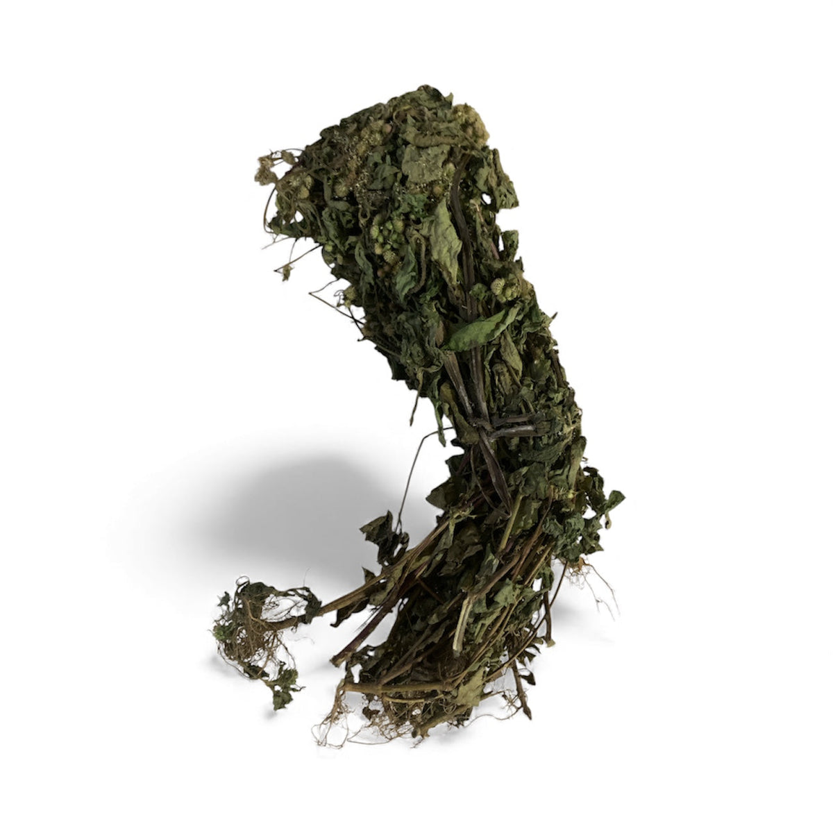Roi Des Herbes