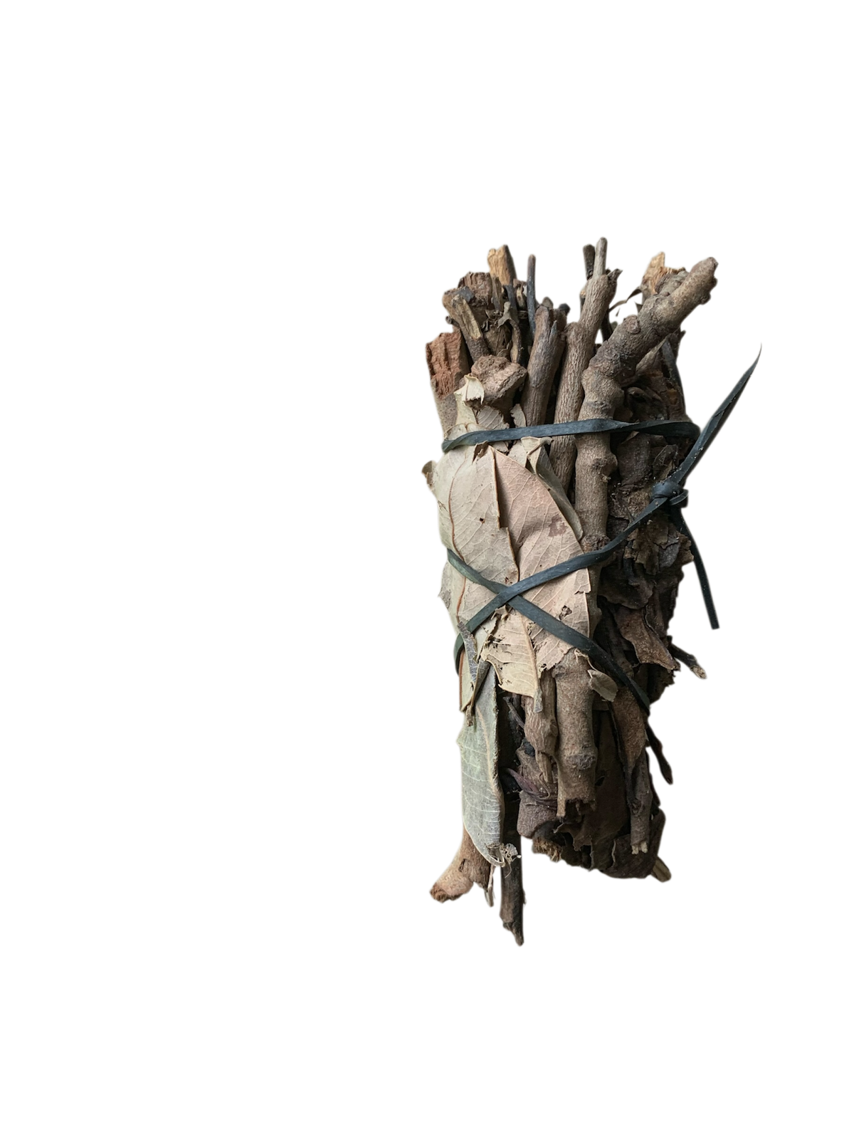 Ladon de Tambakoumba