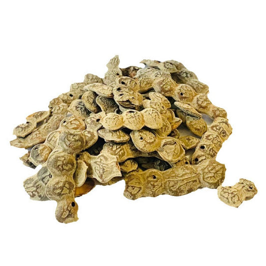 Graines de Nep Nep — Acacia nilotica (50g)