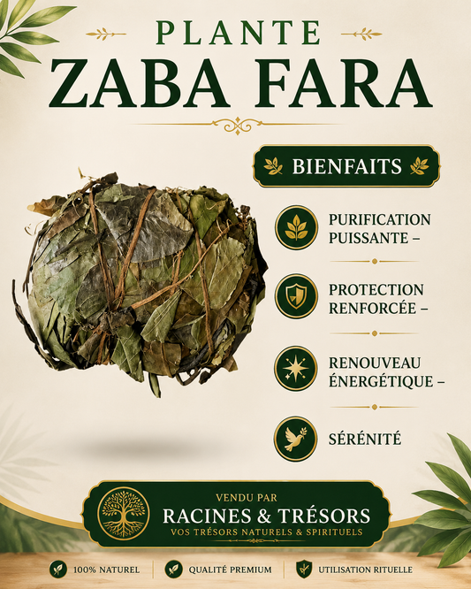 Plante Zaba Fara – Purification & Protection Spirituelle
