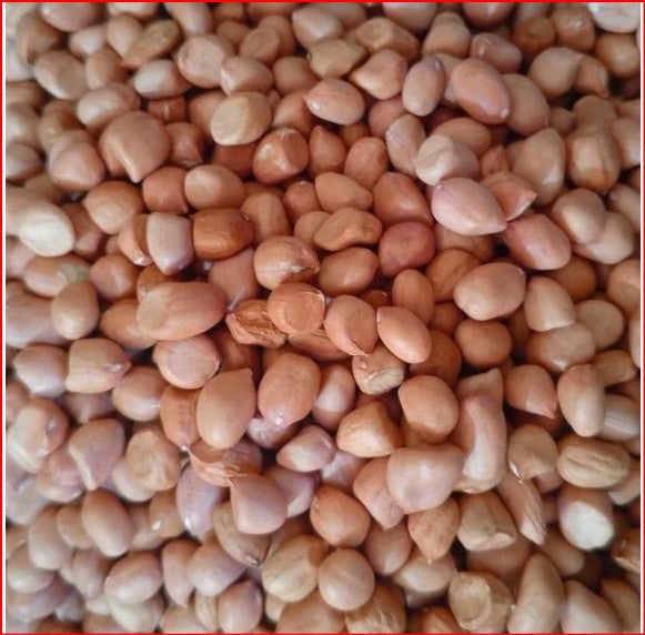 Graines d'Arachide Séchées — 500 gr