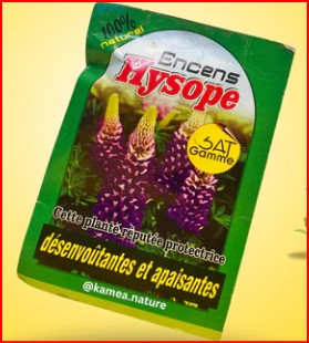 Puissant Encens Poudre Hysope — Purification & Désenvoutement Spirituel