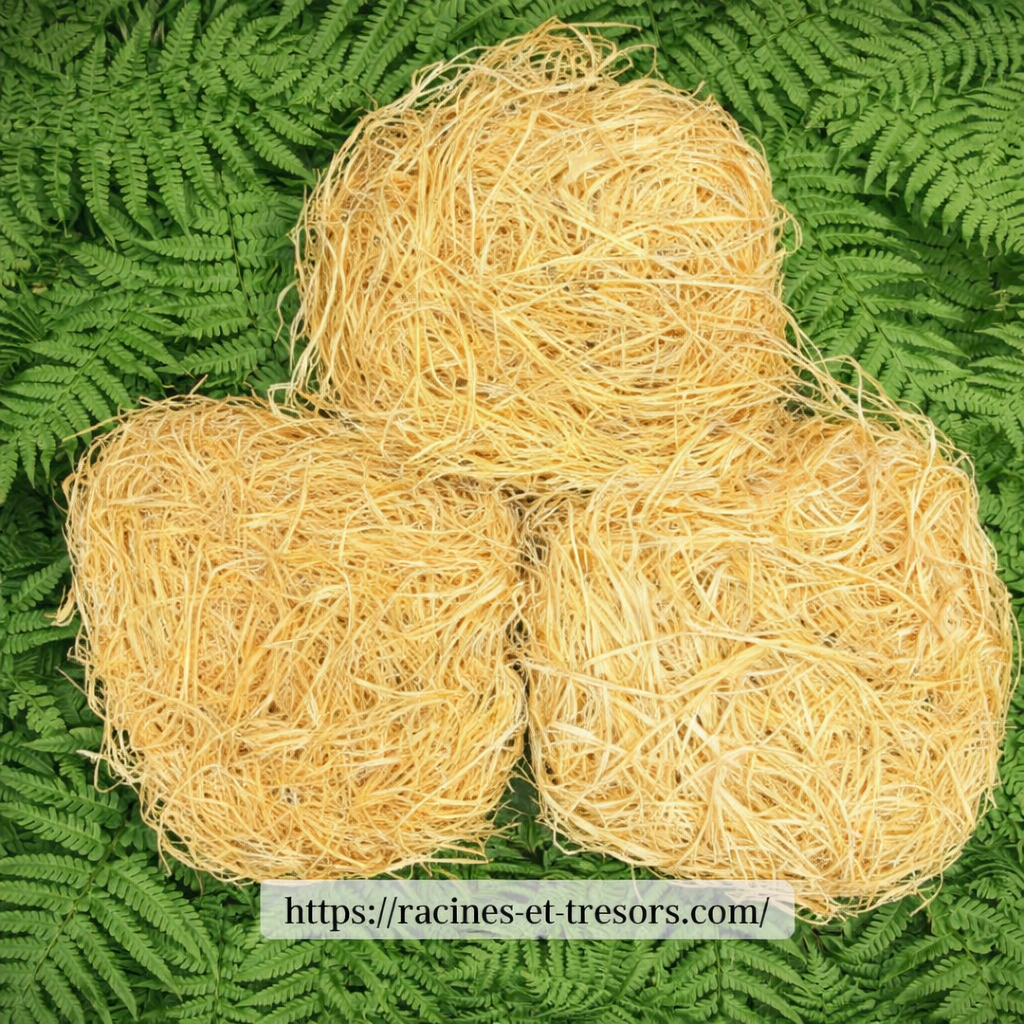Éponge Africaine Exfoliante — Fibre de Baobab