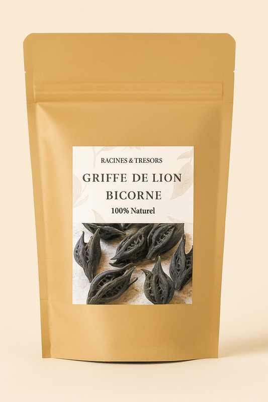 Griffe du Lion (Martynia Annua)