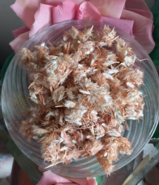 Malokissénie — Kodougourouhani (Herbes du Mali)