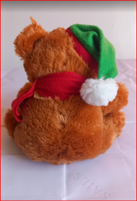 Peluche Ours de Noël avec Étoile 🎄