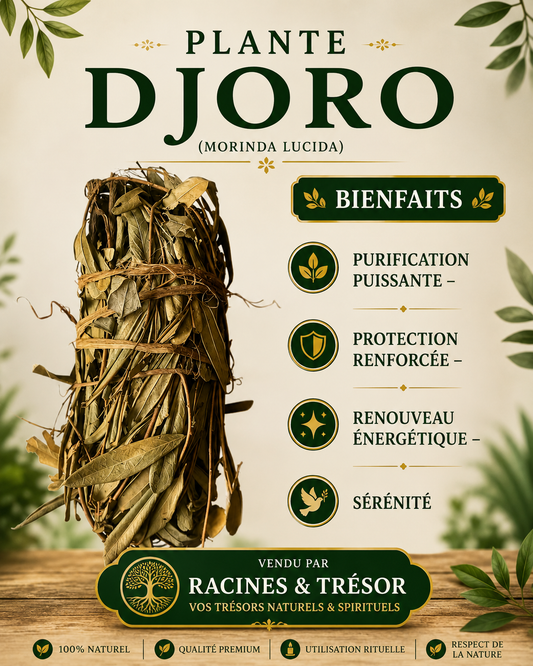 Plante Djoro – Purification & Renouveau Spirituel