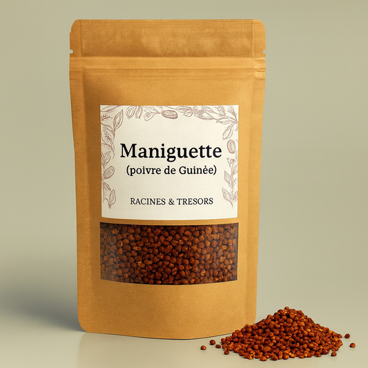 Piment de Guinée — Maniguette (Aframomum melegueta)